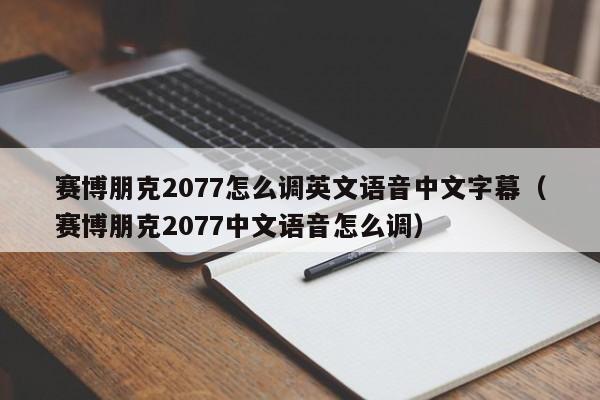 赛博朋克2077怎么调英文语音中文字幕（赛博朋克2077中文语音怎么调）